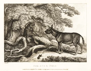 Um macaco e um burro gemem até que uma toupeira os silencia. 1811 (gravura)