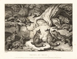 Um bando de raposas se encontrando em uma floresta. 1811 (gravura)