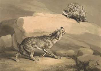 A Raposa e o Porco-espinho (Porcupine)