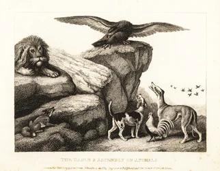 O pássaro de Júpiter admoestando uma assembleia de animais. 1811 (gravura)