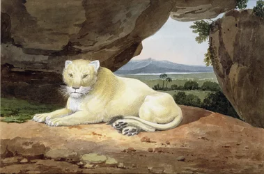 Leoa (ver também 85758)