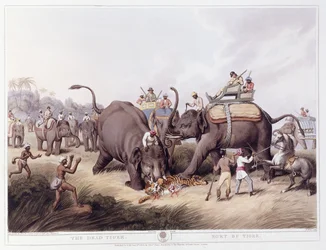 O Tigre Morto; Morte do Tigre, 1807