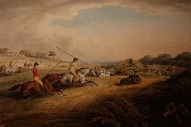 The Hog Chase - Across Fields, da "Orme