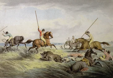 The Hog Chase - The Kill, da coleção de &39;Esporte Britânico Britânico&39; de Orme, 1822