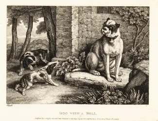 Dois spaniels latindo para um buldogue com um sino na coleira. 1811 (gravura)