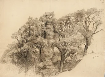 Paisagem com árvores, 1884 (carvão sobre papel brilhante)