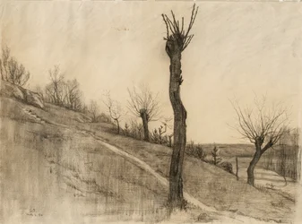 Paisagem de fim de inverno, 1884 (carvão sobre papel brilhante)