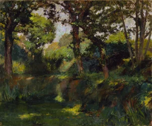 Paisagem arborizada