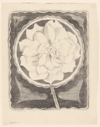 Rosa (em círculo, com borda ondulada)