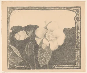 Camelia, deixou uma flor em botão