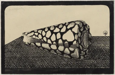Shell, à esquerda