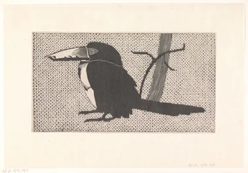 tucano