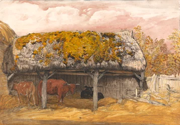 Uma cabana de vacas com um telhado de mísero