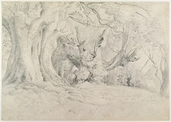 Árvores antigas, Lullingstone Park, 1828 (grafite sobre papel)