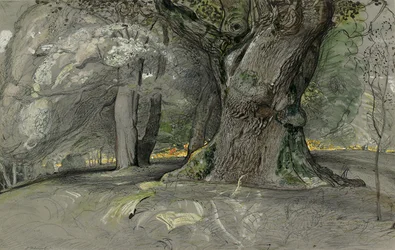 Carvalho e faia, Lullingstone Park