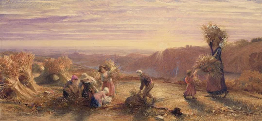 Pôr do sol sobre os campos de respiga
