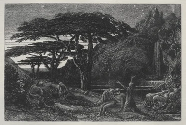 O bosque de ciprestes