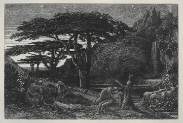 Cypress Grove, 1883.