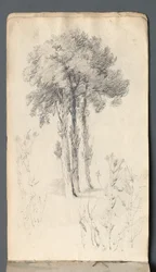 Sketchbook: Tree Study, 1814.