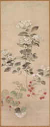 Flores de verão