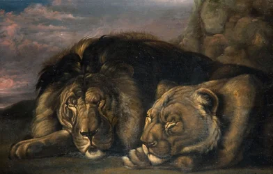 Leão e Leoa adormecidos 1823-1830.