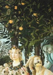 Flora, Zephyrus e Cloris, detalhe de The Allegory of Spring (Primavera), c. 1477-1482 (tempera sobre madeira)