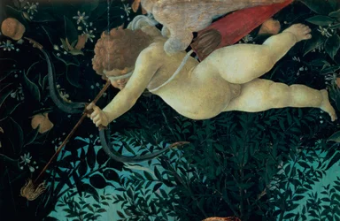 Detalhe do Cupido, da Primavera tempera no detalhe do painel de 558