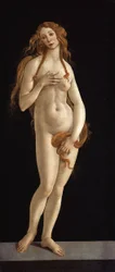 Alemão: Venus Venus