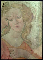 Vénus e as Três Graças oferecendo presentes a uma jovem, pormenor de uma das Graças, c. 1483, pormenor de fresco