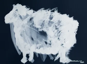 Resumo: «White Sheep»