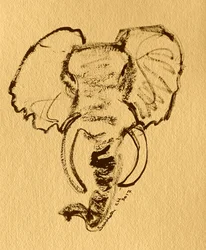 Esboço de elefante-africano