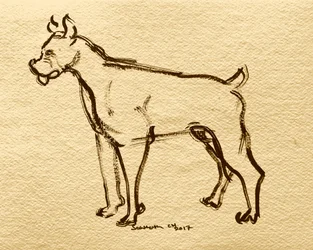 Esboço de cão boxer