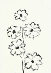 Esboço de flor a carvão