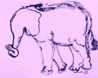 Desenho de um elefante curioso