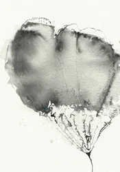Flor etérea escura