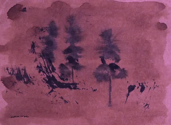 Paisagem florestal escura