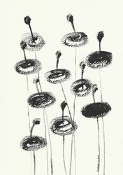 Delicadas flores a carvão