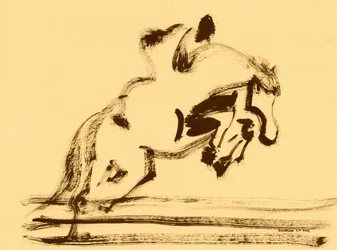 Salto equestre dinâmico