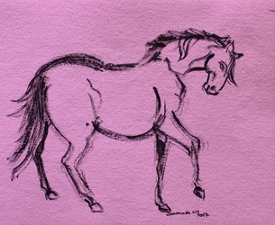 Contorno dinâmico de cavalo