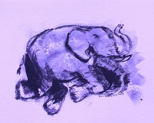 Elefante 42
