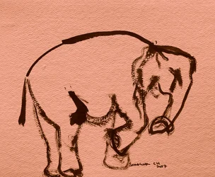Esboço a tinta de elefante