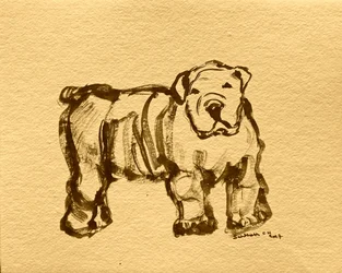 Esboço expressivo de buldogue