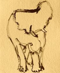 Desenho expressivo de elefante