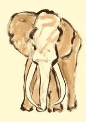 Esboço expressivo de elefante