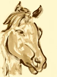 Cabeça expressiva de cavalo