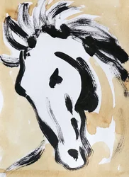 Expressiva cabeça de cavalo