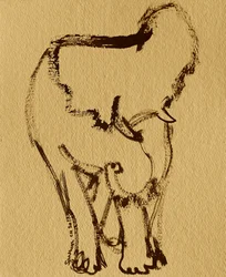 Elefante gentil a tinta