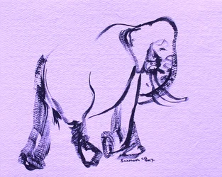 Gracioso elefante roxo