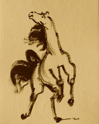 Cavalo 24