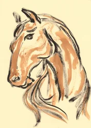 Perfil majestoso de cavalo